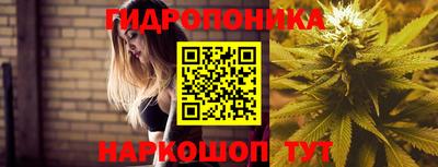 стафф Волгодонск