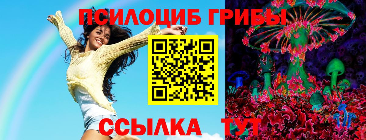 Псилоцибиновые грибы Cubensis Вышний Волочёк