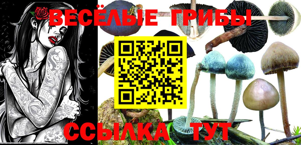 Псилоцибиновые грибы GOLDEN TEACHER  Галлюциногенные грибы GOLDEN TEACHER  Вышний Волочёк 